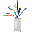 Vivi Bike 250W 36V Controller di velocità