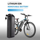 Batteria per bici elettrica Vivi per H7 Ebike